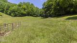 1740 Windingstairs Road - Photo 109