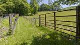 1740 Windingstairs Road - Photo 86
