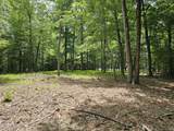 Lot 58 See View Lane - Photo 7