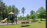 300 Plumtree Court - Photo 9