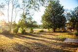 310 Heil Drive - Photo 25