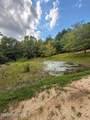 2171 Gene Howard Road - Photo 35