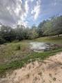 2171 Gene Howard Road - Photo 53