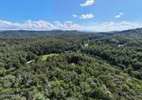 1341 Mull Road - Photo 57
