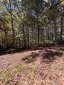 00 Sugarberry Lane - Photo 4