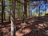 00 Sugarberry Lane - Photo 7