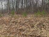 Lot 20 Wolf Ridge Lane - Photo 10