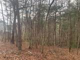 Lot 20 Wolf Ridge Lane - Photo 11