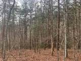 Lot 20 Wolf Ridge Lane - Photo 12