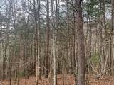Lot 20 Wolf Ridge Lane - Photo 13