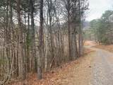 Lot 20 Wolf Ridge Lane - Photo 14
