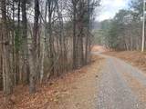 Lot 20 Wolf Ridge Lane - Photo 15