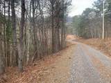 Lot 20 Wolf Ridge Lane - Photo 16