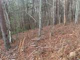 Lot 20 Wolf Ridge Lane - Photo 18