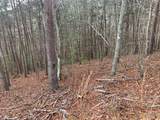 Lot 20 Wolf Ridge Lane - Photo 19