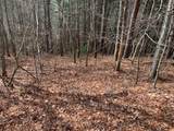 Lot 20 Wolf Ridge Lane - Photo 2