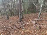 Lot 20 Wolf Ridge Lane - Photo 23