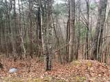 Lot 20 Wolf Ridge Lane - Photo 27