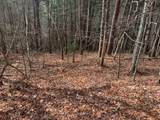 Lot 20 Wolf Ridge Lane - Photo 3