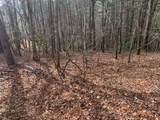 Lot 20 Wolf Ridge Lane - Photo 32