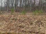 Lot 20 Wolf Ridge Lane - Photo 4