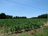 Tbd Highway 71 - Photo 11