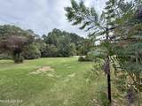 207 Old Roper Road - Photo 43