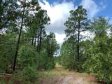 691 Bettis Academy Road - Photo 4