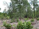 691 Bettis Academy Road - Photo 5