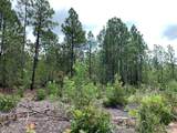 691 Bettis Academy Road - Photo 6