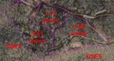 31.84 Ac Big Choga / Highlander Road - Photo 13