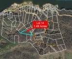 31.84 Ac Big Choga / Highlander Road - Photo 15
