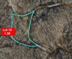 31.84 Ac Big Choga / Highlander Road - Photo 16