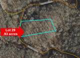 31.84 Ac Big Choga / Highlander Road - Photo 17