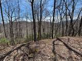31.84 Ac Big Choga / Highlander Road - Photo 20