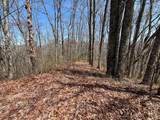 31.84 Ac Big Choga / Highlander Road - Photo 21
