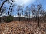 31.84 Ac Big Choga / Highlander Road - Photo 23