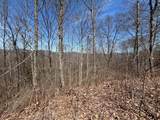 31.84 Ac Big Choga / Highlander Road - Photo 26