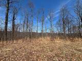 31.84 Ac Big Choga / Highlander Road - Photo 27