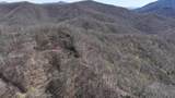 31.84 Ac Big Choga / Highlander Road - Photo 51