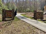 31.84 Ac Big Choga / Highlander Road - Photo 6