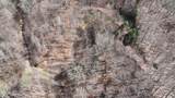 31.84 Ac Big Choga / Highlander Road - Photo 64