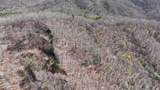 31.84 Ac Big Choga / Highlander Road - Photo 66
