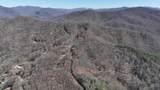 31.84 Ac Big Choga / Highlander Road - Photo 67