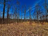 31.84 Ac Big Choga / Highlander Road - Photo 9