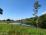 Tbd Cowpen Swamp Road - Photo 19