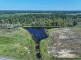 Tbd Cowpen Swamp Road - Photo 7