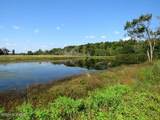 Tbd Cowpen Swamp Road - Photo 17