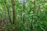 Lot 111C Puett Cove Estates - Photo 10