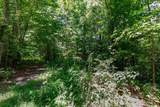 Lot 111C Puett Cove Estates - Photo 11